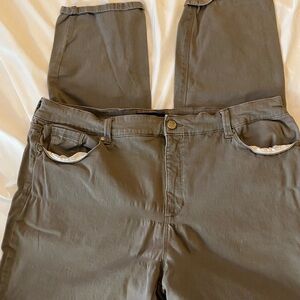 Bandolino Straight Leg Pants in Olive Brown